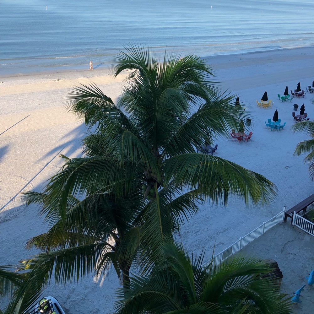 Meet your Posher, Lisa lienhard